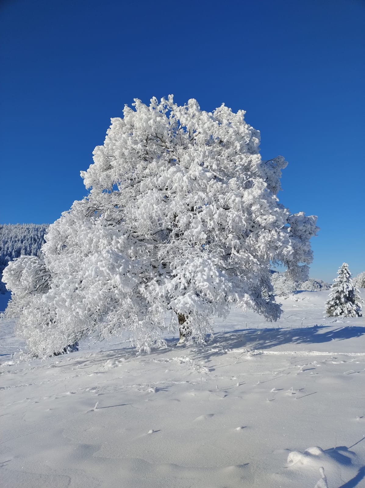Paysages 